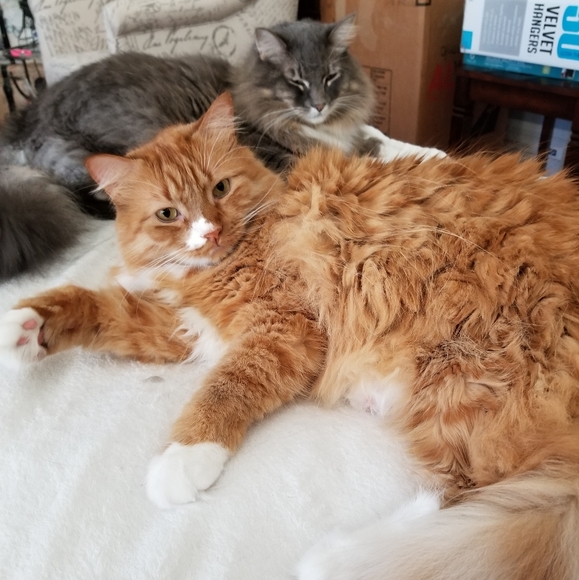 Reasonable Offers Welcome π¦ - Picture 7 of 7